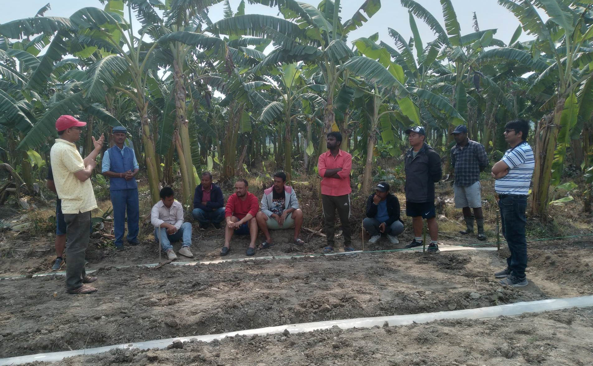 Mitigating soilborne diseases to improve smallholder farmer livelihoods and food security in Nepal Mitigating soilborne diseases to improve smallholder farmer livelihoods and food security in Nepal