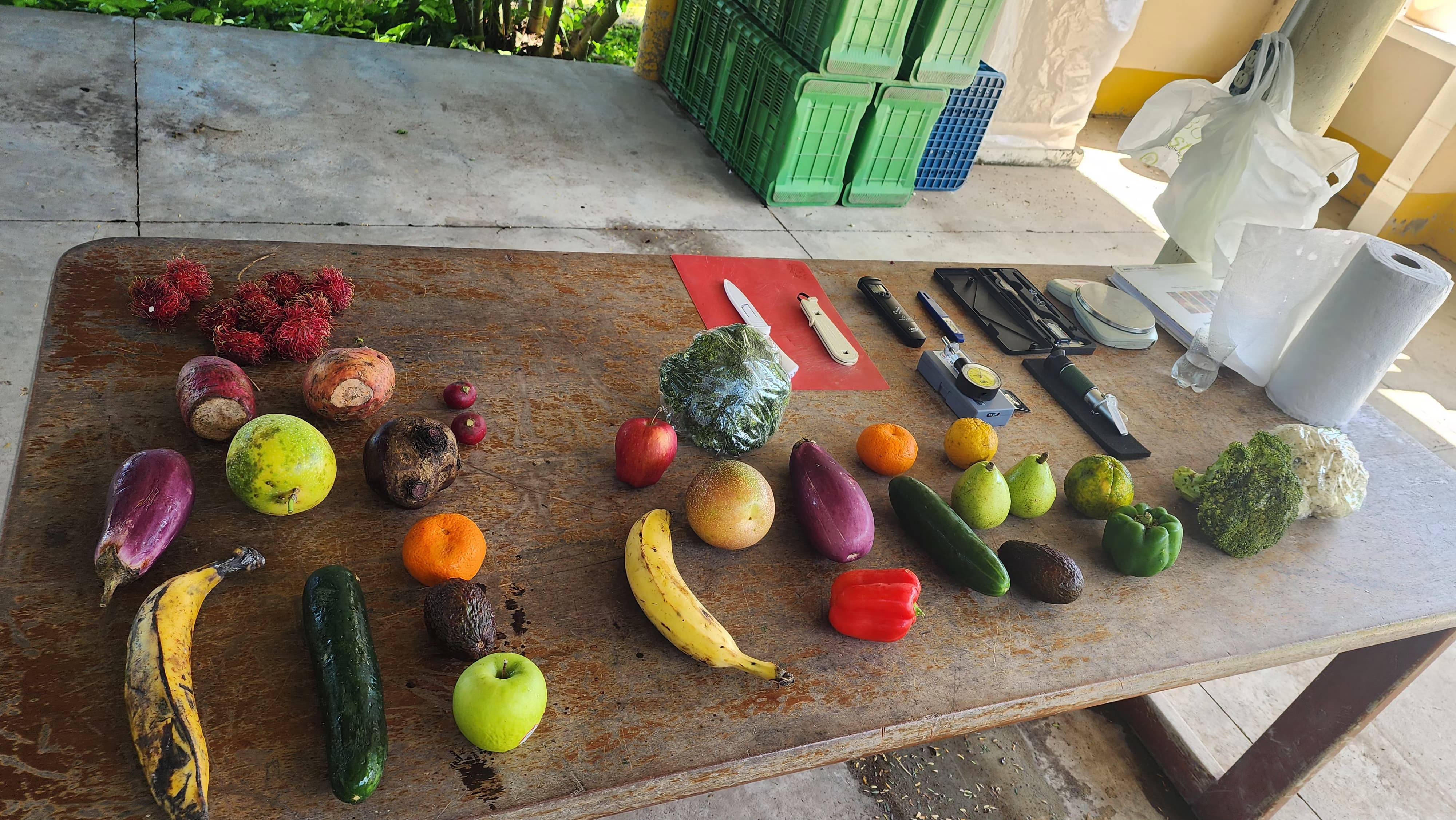 A diverse selection of fresh horticultural produce laid out for quality assessment during the postharvest handling training, including tropical fruits, vegetables, and root crops. Various tools for produce handling and measurement can be seen on the right side of the wooden table.