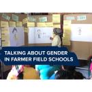 "Talking about gender in farmer field schools" text on a photo of a woman looking at a board with cards and drawings of women on it 