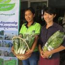 Marketers with baskets of vegetables in Phnom Penh 'safe vegetables' market